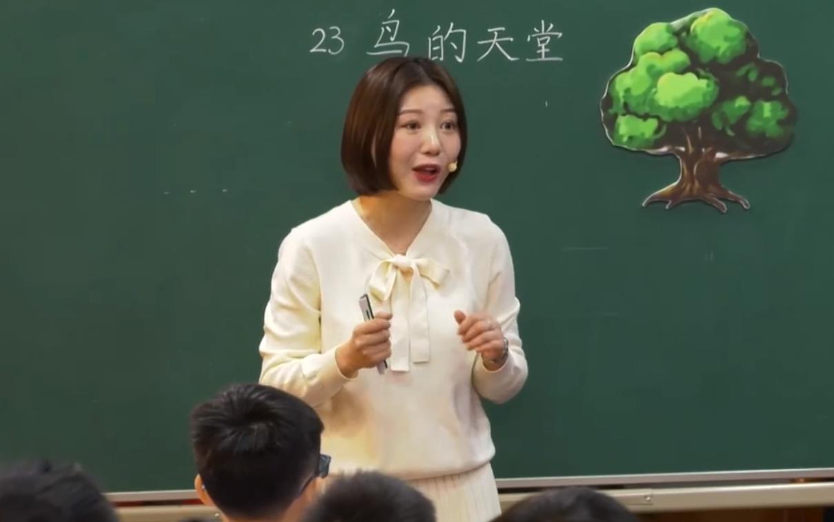 冉茂樨，《鳥的天堂》+專家評課，五年級上冊第七單元