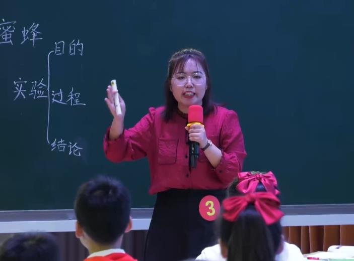 宿彩霞，《蜜蜂》，三年級下冊，第四單位