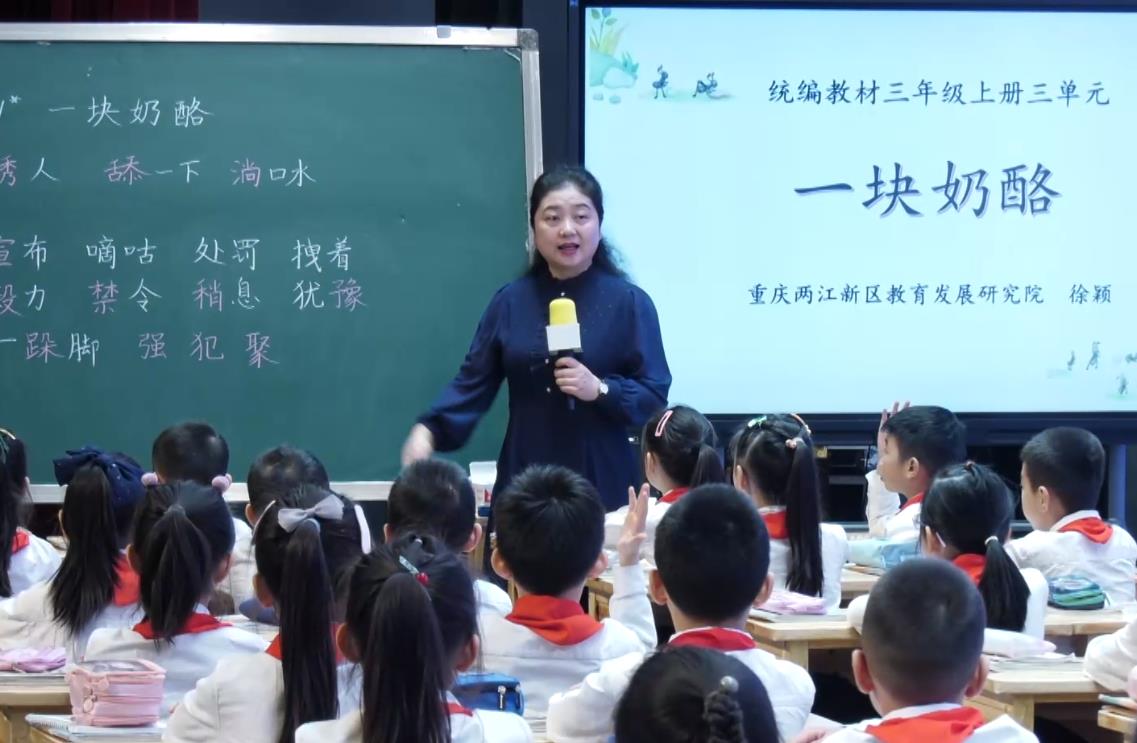 徐穎《一塊奶酪》，三年級上冊